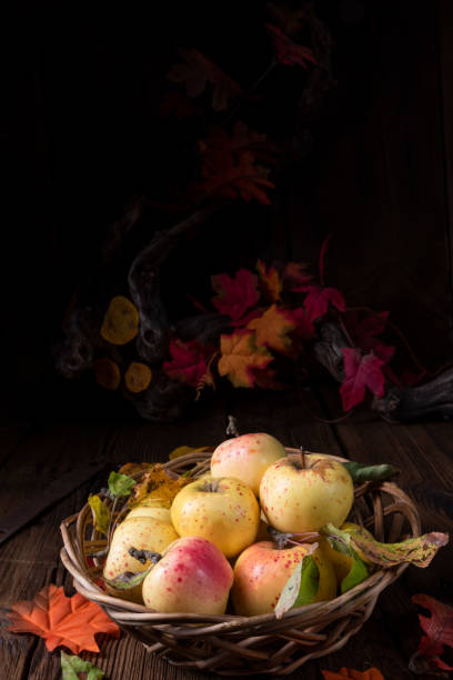 istock fresh and tasty organic apples in a basket 1067420904