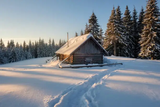 Winter landscape of a mountain forest with a cabin. Trail stamped in the snow towards the cabin. Fir-trees and a cabin covered with snow. Winter traveling.