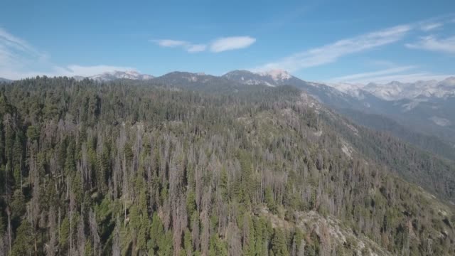 4K aerial view of Sequoia National Park and Sierra Nevada mountains