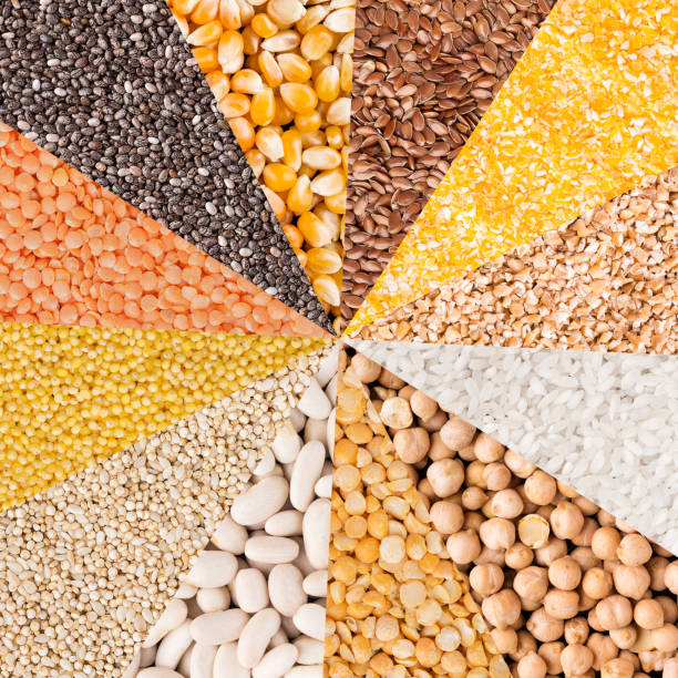 istock Colorful mix from different beans, legumes, peas, lentils 1067429482