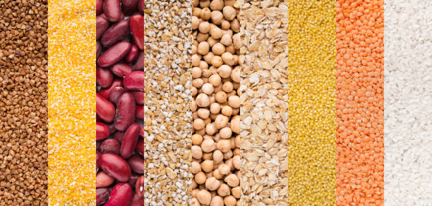 istock Ranks of various legumes isolated on white background 1067429488