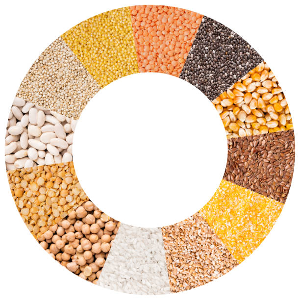 istock Different types of grains in circle isolated on white 1067429500