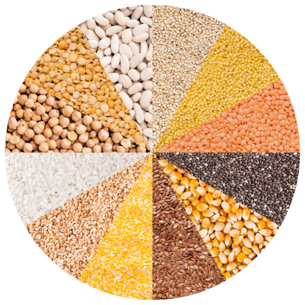 círculo con diferentes tipos de granos aislados en blanco - arroz grano fotos fotografías e imágenes de stock