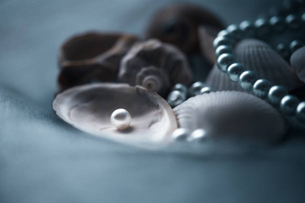 eine schöne weiße perle in der muschel. und noch eine schale mit einer perlenschnur. selektiven fokus in die weiße perle - pearl oyster shell white stock-fotos und bilder