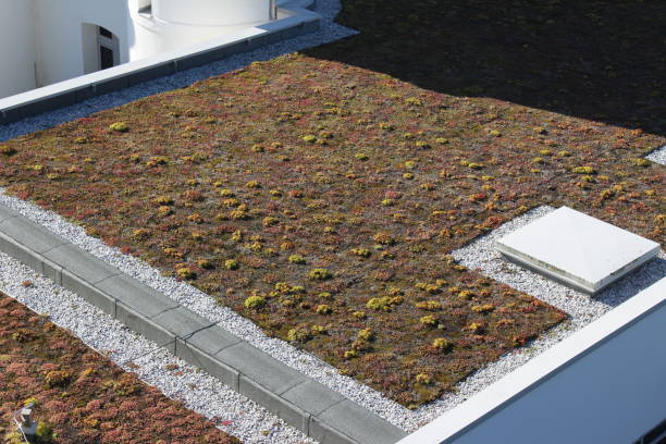 istock Roof green terrace flat roof 1067434998
