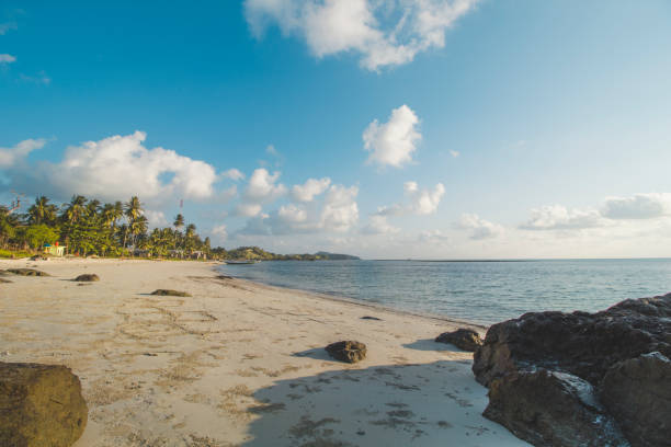 istock Palm or Coconut Tree, Clear Sea Water, Cloudy Blue Sky and Beautiful Tropical Beach 1067438152