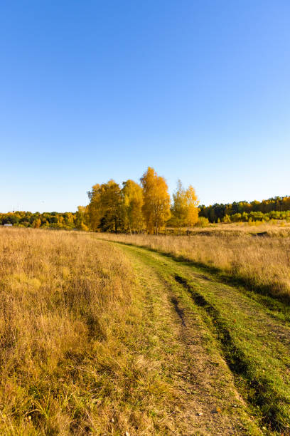 istock dirt road in a field 1067449508