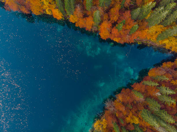 istock Natural shape, lake edge with autum forest 1067451786