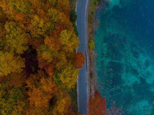 istock Colorful atumn forest and blue lake water 1067451966