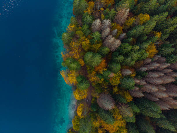 istock Colorful forest by lake side, aerial from above 1067452332