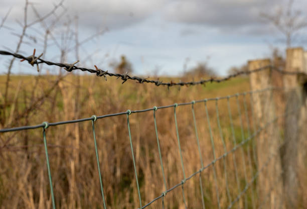 istock Farmland barbed wire 1067458374