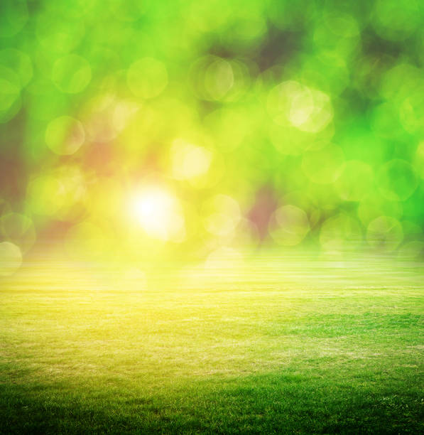 istock Clear beauty bokeh landscape 1067462610