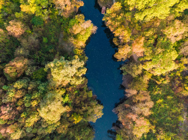istock Blue river flow trough forest, top down aerial 1067472162