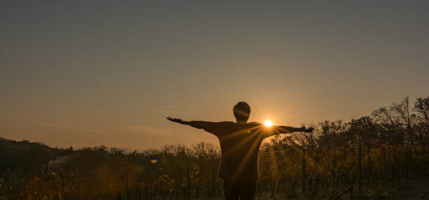 istock Girl enjoying freedom at sunset 1067477712