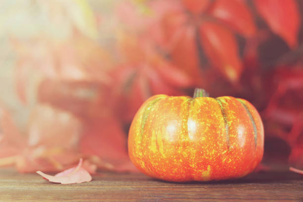 istock Pumpkin and red autumn leaves. Thanksgiving background 1067478830