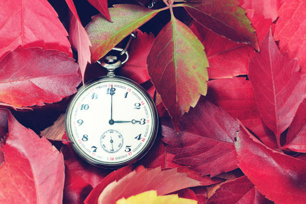 istock Pocket watch and autumn leaves 1067479222