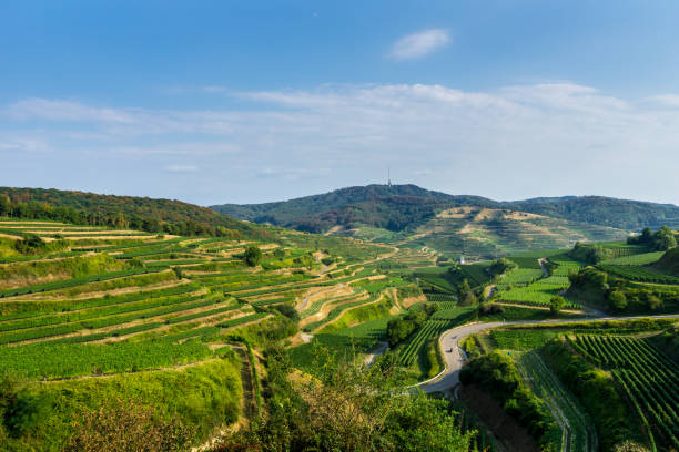istock Germany, Kaiserstuhl wine region landscape 1067479848