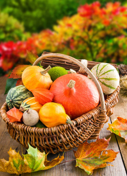 istock Autumn decorations  -  Leaves and Pumpkins 1067481774