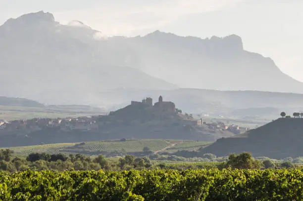San Vicente de la Sonrierra in the morning with fog rounded by vines. La Rioja. Spain