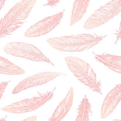 Hand drawn vector feathers line art seamless pattern on white background. Detailed pink boho decoration. Pastel ornament for wrapping paper, fabrics and textile.