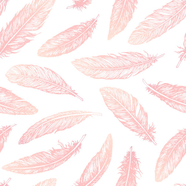 Hand drawn vector feathers line art seamless pattern on white background. Detailed pink boho decoration. Pastel ornament for wrapping paper, fabrics and textile. Hand drawn vector feathers line art seamless pattern on white background. Detailed pink boho decoration. Pastel ornament for wrapping paper, fabrics and textile. feather stock illustrations