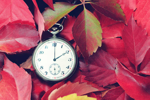 istock Autumn leaves and pocket watch 1067486030