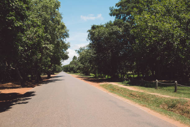 istock Empty Road Amidst Trees In City Against Sky 1067490508