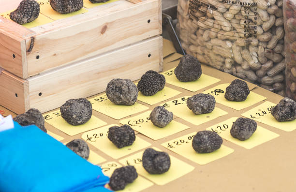 松露季節。農民市場上新鮮的黑色松露 - truffle tuber melanosporum mushroom 個照片及圖片檔