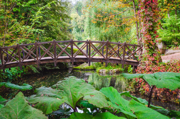 istock wooden bridge over the pond 1067505950