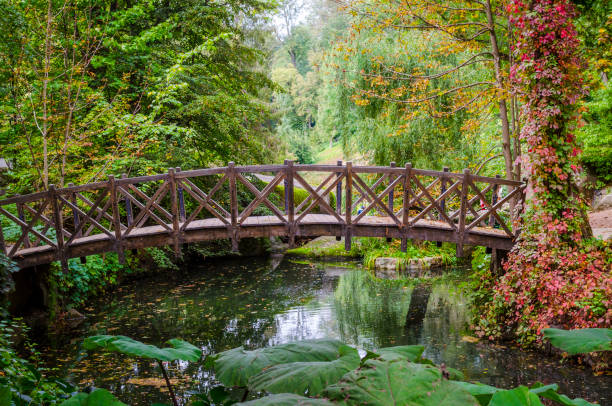 istock wooden bridge over the pond 1067505952
