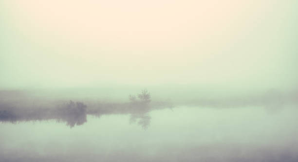 Photo of Mist on a lake