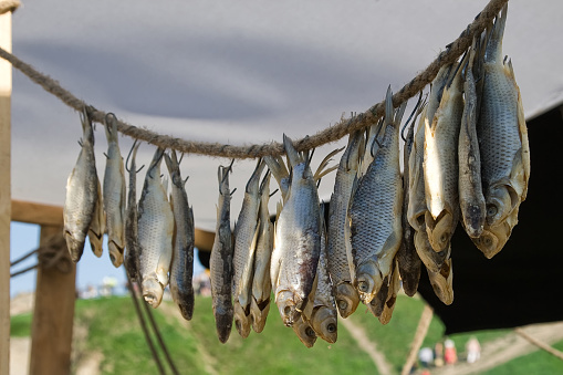 Dried fish on a rope