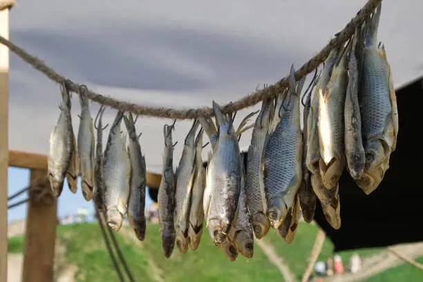 Photo of Dried fish on a rope