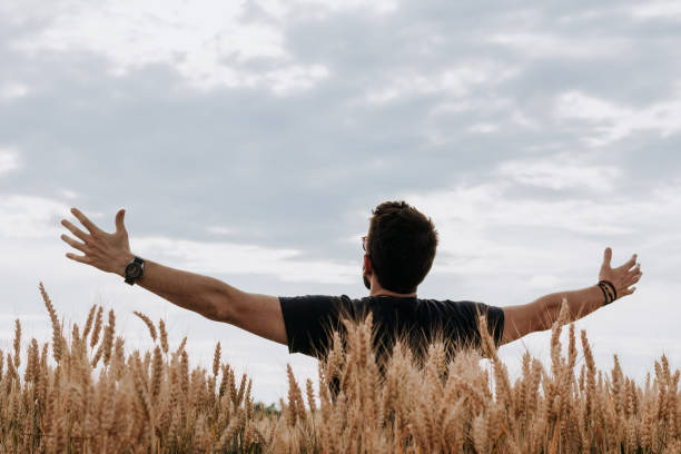 istock Young man in the wheat field with spread arms 1067538388