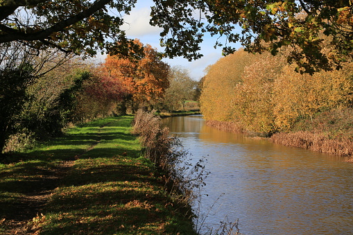 Autumn Colours on the canal section through Savernake Forest