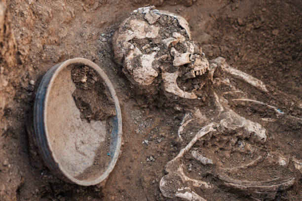 istock Archaeological excavations. research on human burial, skeleton, skull, inventory 1067550394