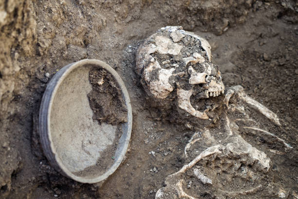 istock Archaeological excavations. research on human burial, skeleton, skull, inventory 1067550414