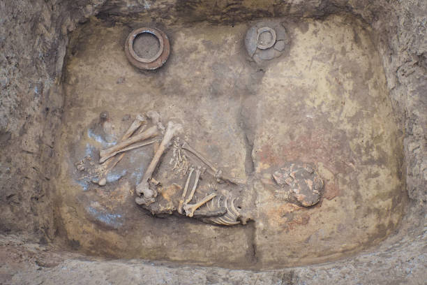 istock Archaeological excavations. research on human burial, skeleton, skull, ritual pot 1067550636