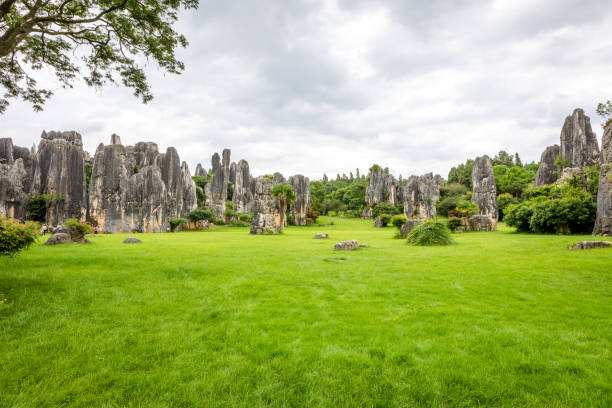 istock Stone Forest in Yunnan China 1067550662