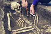 Archaeological excavations.  archaeologist with tools conducts research on human burial, skeleton, skull