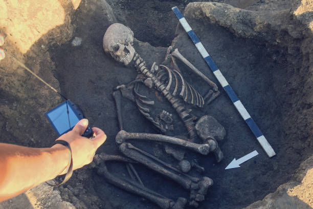 Archaeological excavations and finds (bones of a skeleton in a human burial), working tool, ruler, knife, brush, a detail of ancient research, prehistory. Archaeologist photographs ancient burial rights las excavaciones arqueológicas y los hallazgos (los huesos de un esqueleto en un entierro humano), de trabajo herramienta, regla, cuchillo, cepillo, un detalle de la investigación antigua, prehistoria. arqueólogo fotografías antiguas derechos funerario
