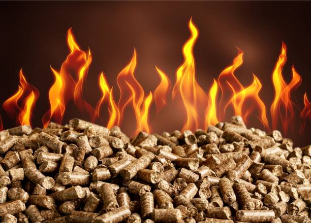Biofuel. Pellets Biomass- close up on background granule photos stock pictures, royalty-free photos & images