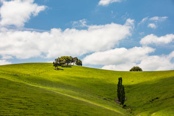 istock Strzelecki Ranges Landscape 1067557292