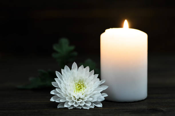 istock Burning candle and white Chrysanthemum flower 1067557856