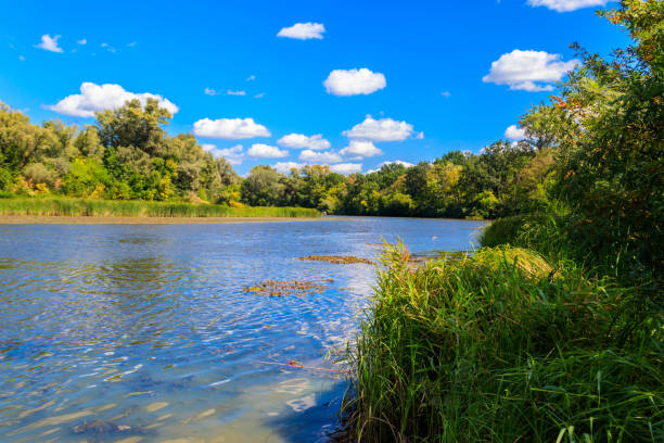 istock Summer landscape with beautiful river, green trees and blue sky 1067559914