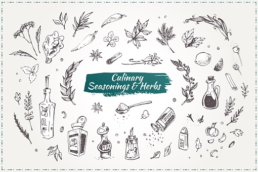 Culinary seasonings and herbs. Hand drawn icons