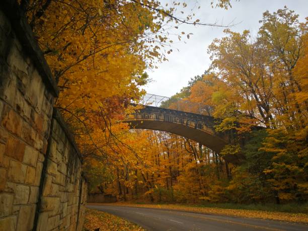 istock Bridge across colorful Autumn road 1067561730