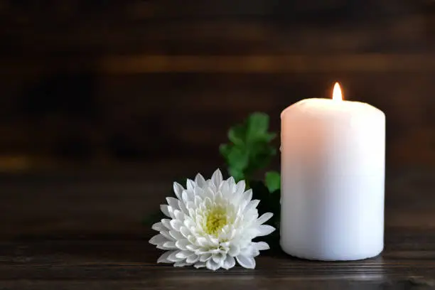 Photo of Candle and white Chrysanthemum flower