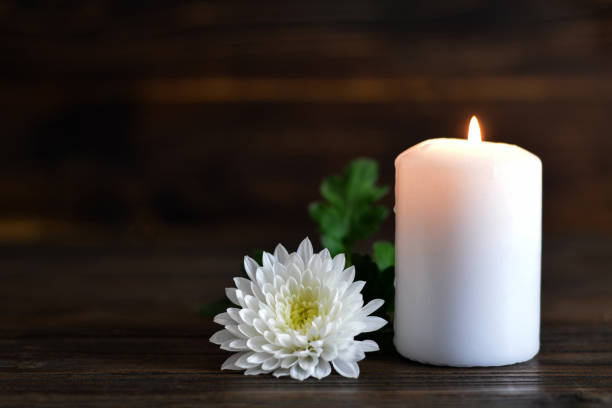 candle and white chrysanthemum flower - place of burial imagens e fotografias de stock