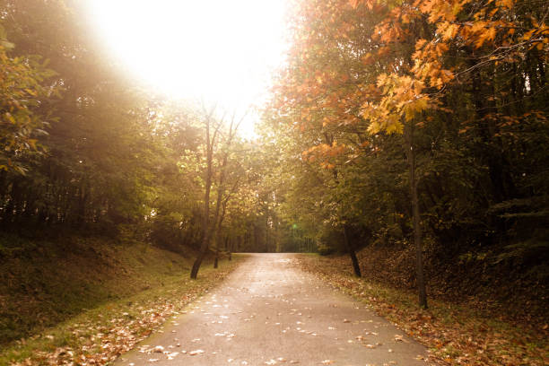 istock Colors of nature 1067566946